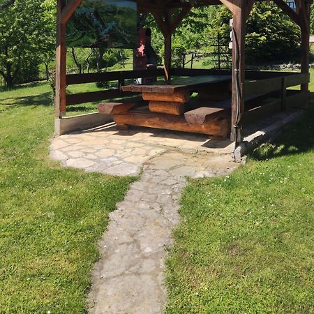 Guesthouse Mirko Hodak Seliste Dreznicko Dış mekan fotoğraf