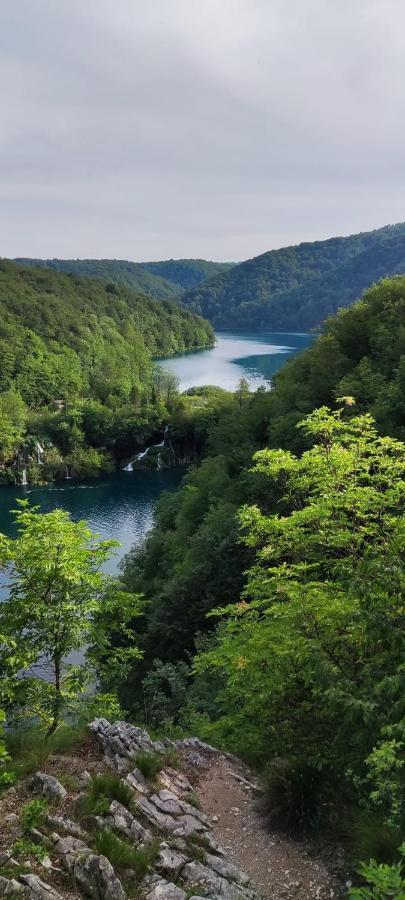 Guesthouse Mirko Hodak Seliste Dreznicko Dış mekan fotoğraf