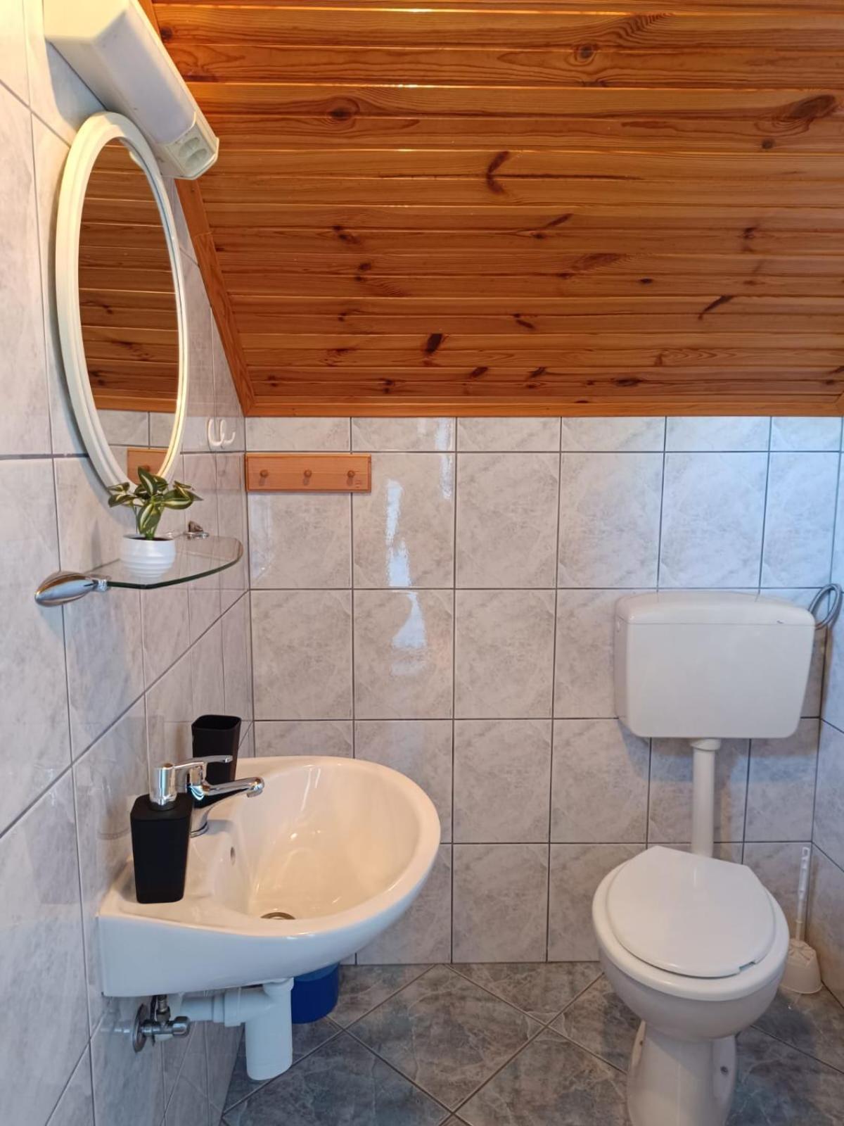 Guesthouse Mirko Hodak Seliste Dreznicko Dış mekan fotoğraf
